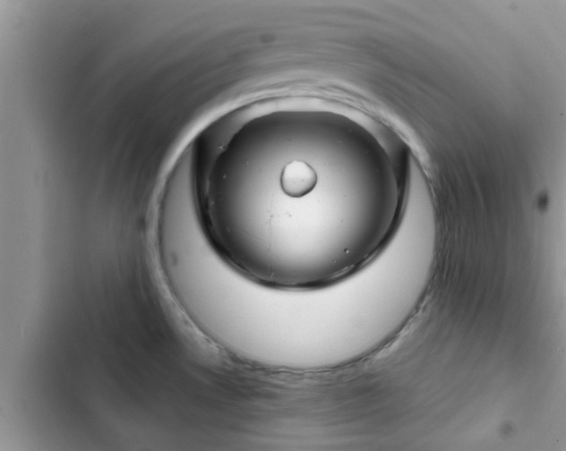 X0000102541530200808151630