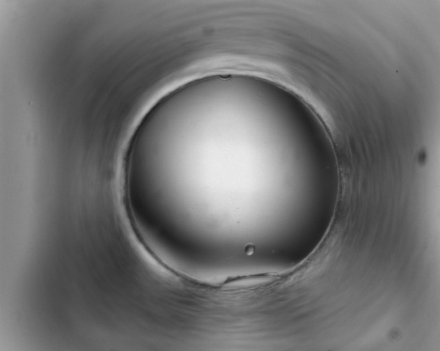 X0000102541531200808151631