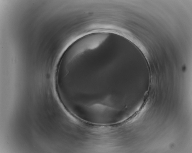 X0000102541533200808151631