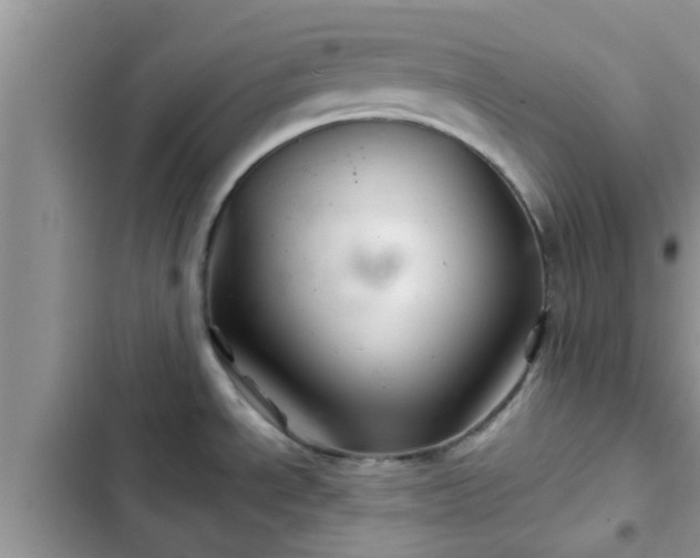 X0000102541534200808151631