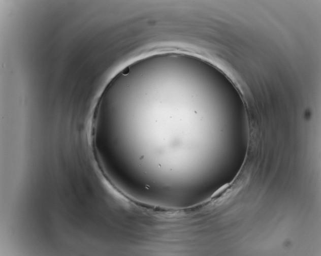 X0000102541535200808151631