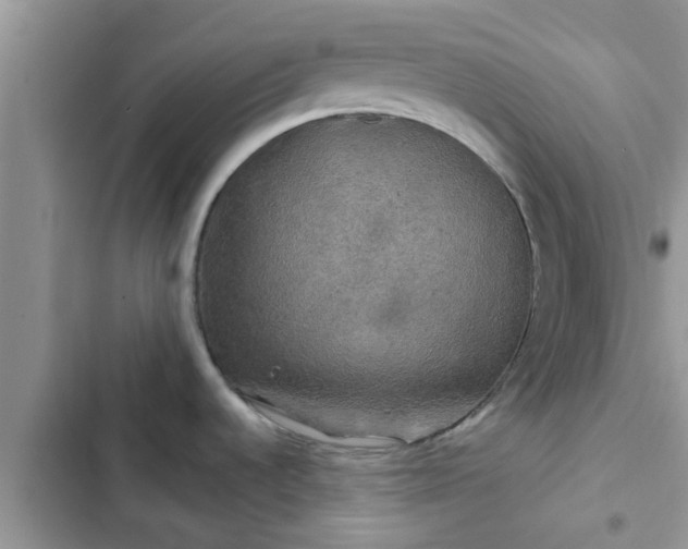 X0000102541536200808151631