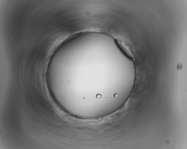 X0000102540001200808221939