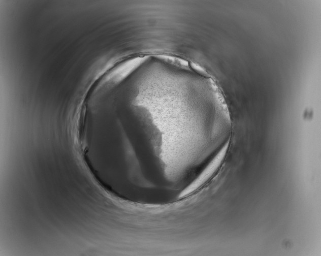X0000102540002200808221939