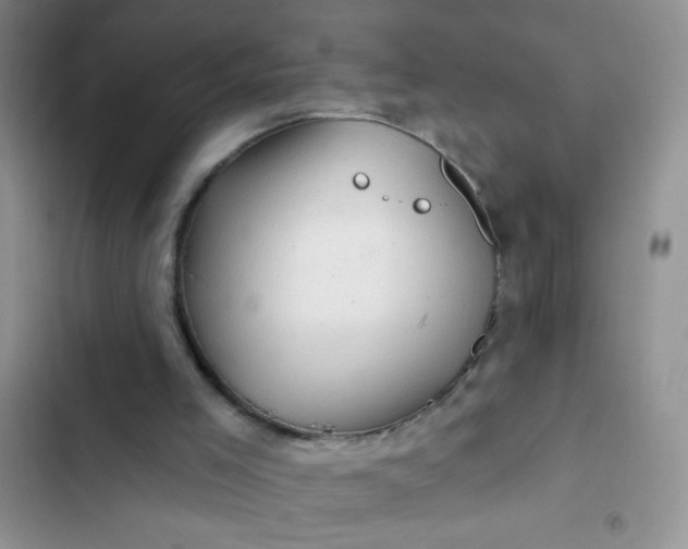 X0000102540005200808221939