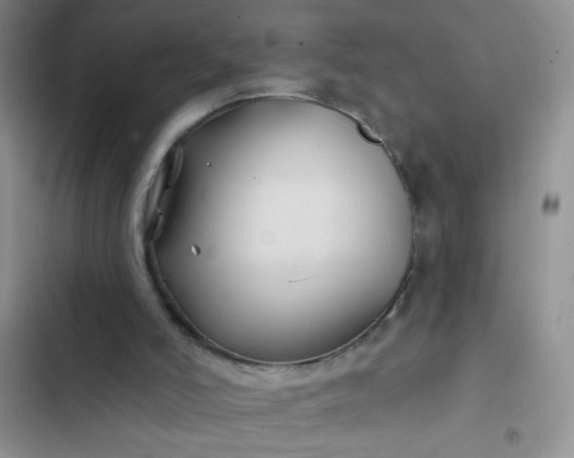 X0000102540006200808221939