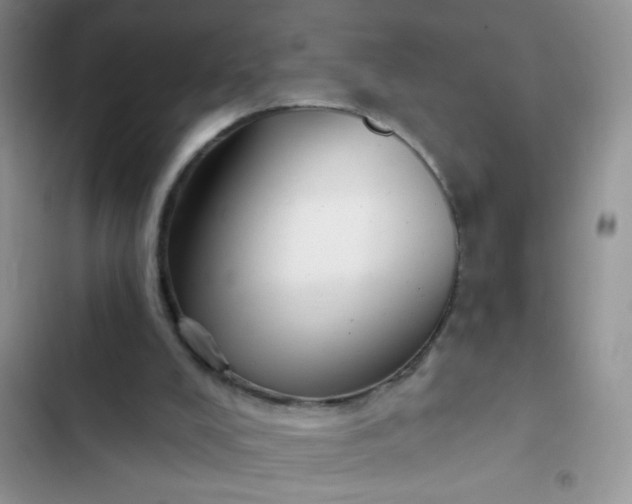 X0000102540008200808221939
