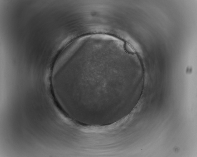 X0000102540009200808221939
