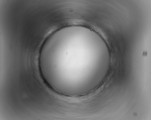 X0000102540010200808221939