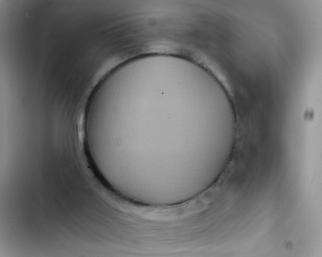 X0000102540011200808221939