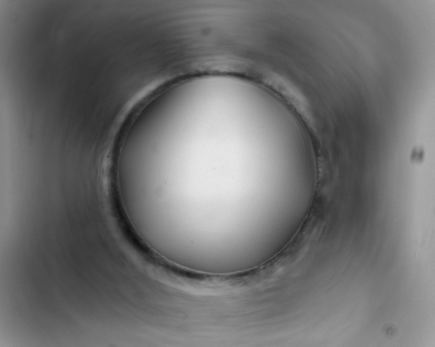 X0000102540012200808221939