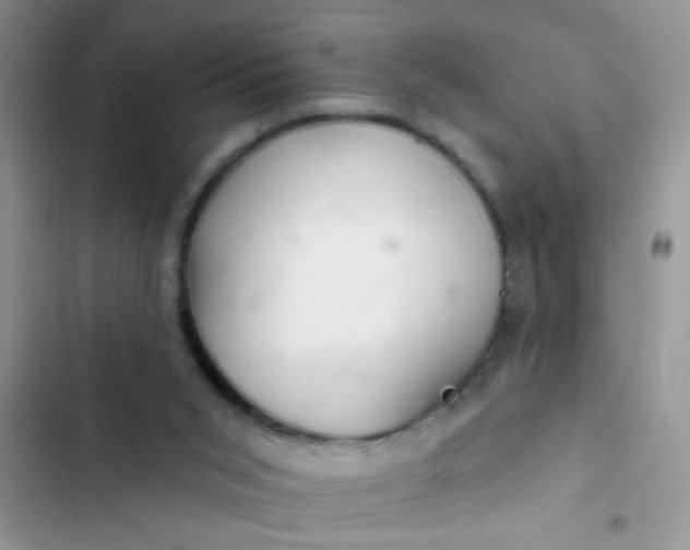 X0000102540015200808221939