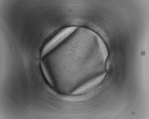 X0000102540017200808221939