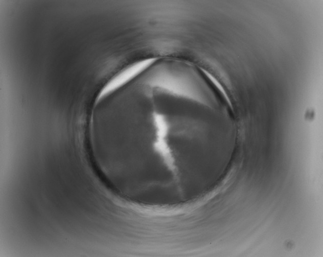 X0000102540018200808221939