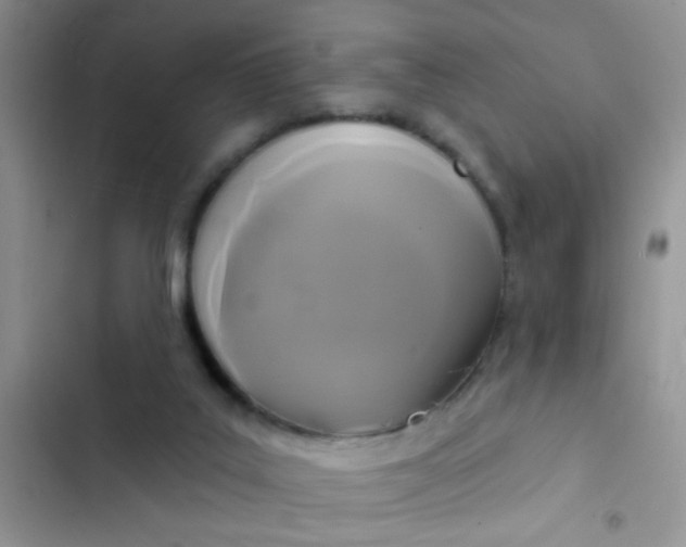 X0000102540019200808221939