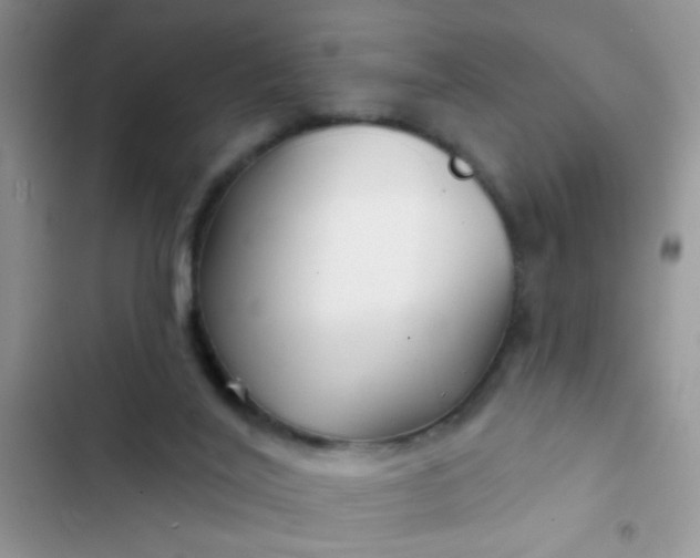 X0000102540020200808221939