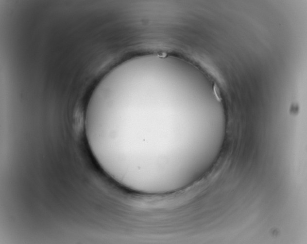 X0000102540021200808221939