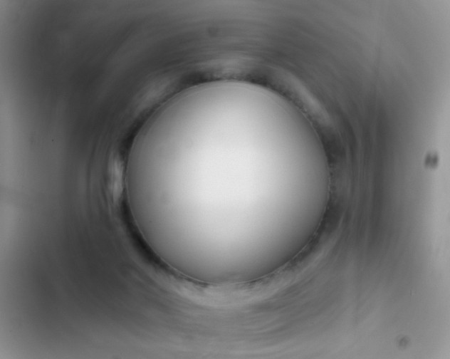 X0000102540022200808221939