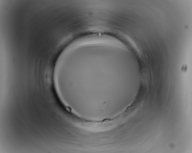 X0000102540023200808221939