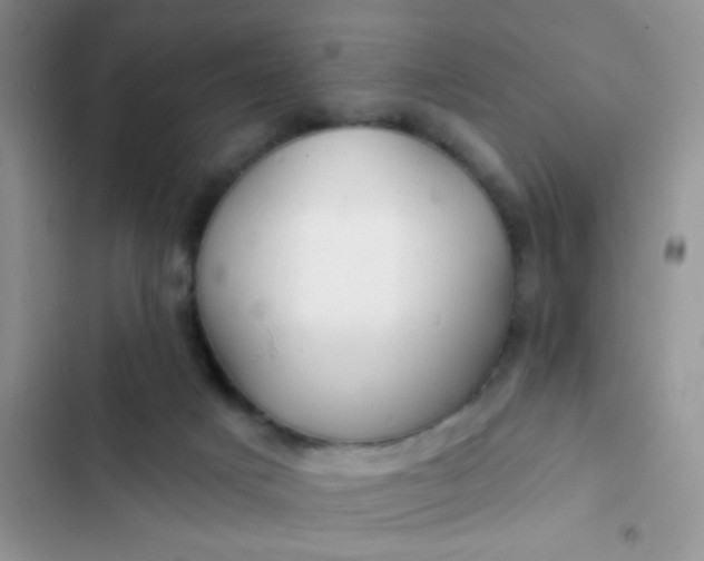 X0000102540025200808221939
