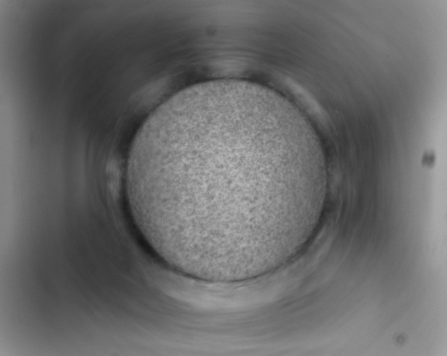 X0000102540026200808221939
