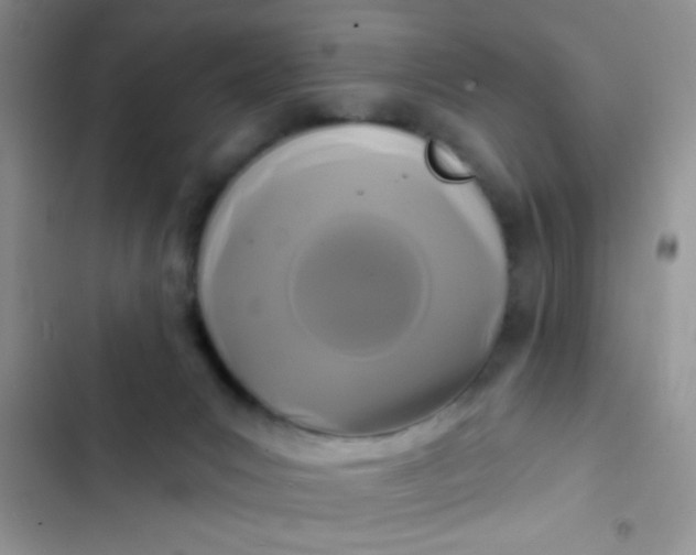 X0000102540031200808221939