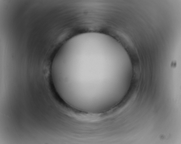 X0000102540032200808221939