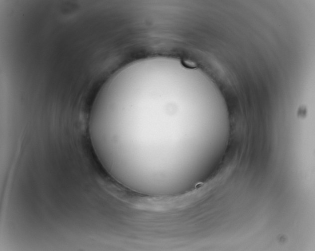 X0000102540033200808221939