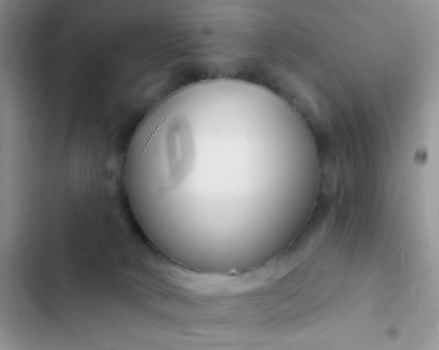 X0000102540034200808221939