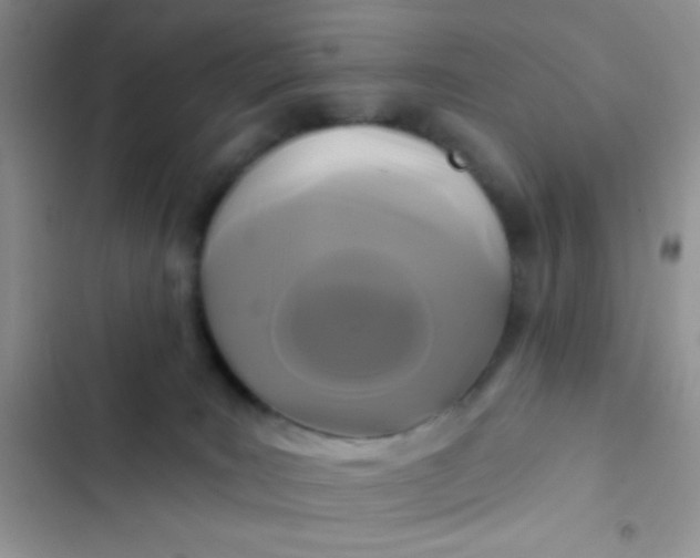X0000102540035200808221939