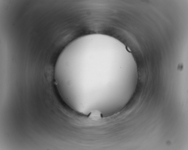 X0000102540036200808221939