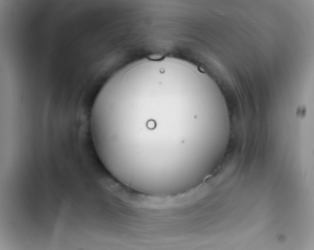 X0000102540037200808221939