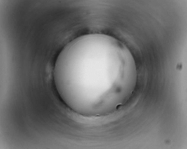 X0000102540038200808221939