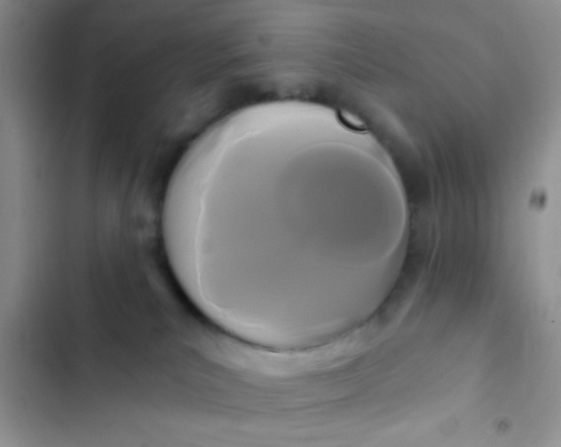 X0000102540039200808221939