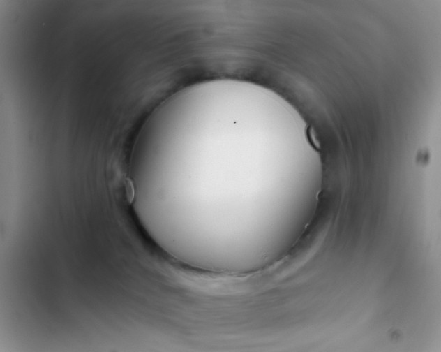 X0000102540040200808221939