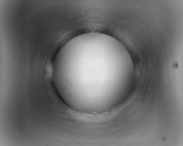 X0000102540042200808221939