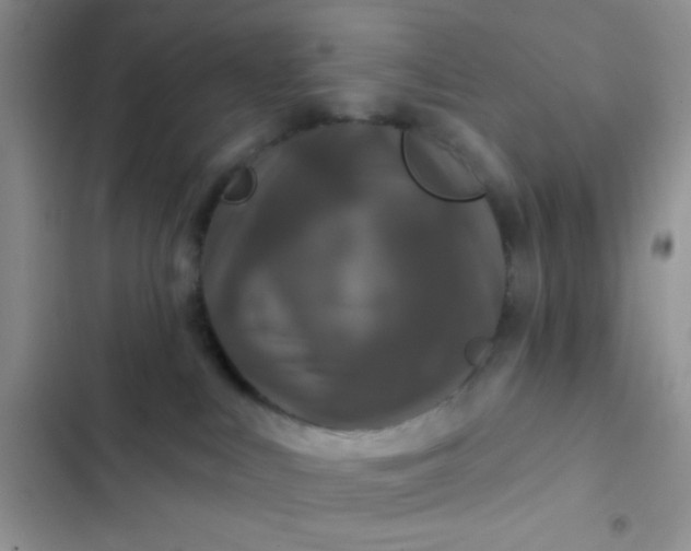 X0000102540043200808221939