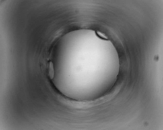 X0000102540044200808221939