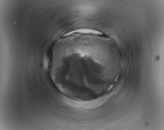 X0000102540046200808221939