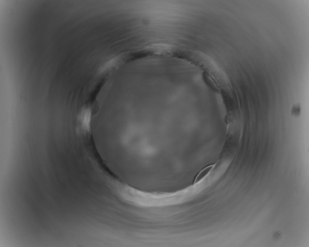 X0000102540047200808221939