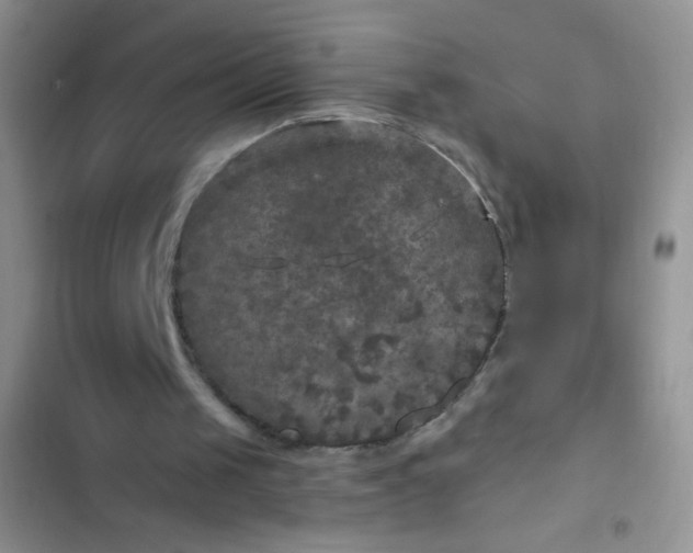 X0000102540049200808221938