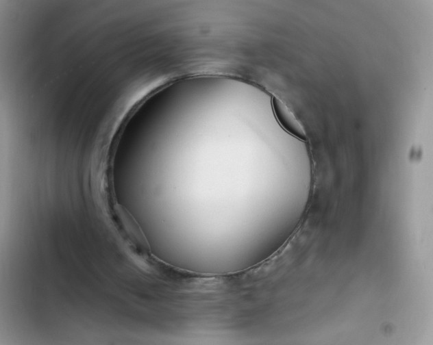 X0000102540050200808221938
