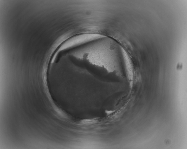 X0000102540051200808221938