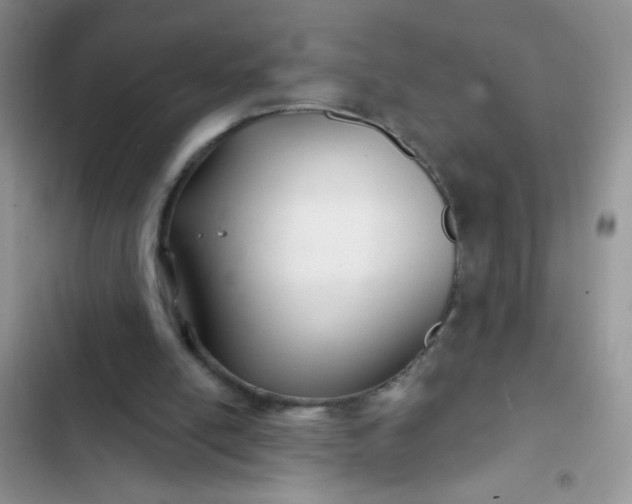 X0000102540054200808221938