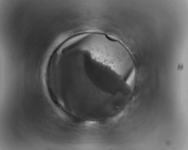 X0000102540055200808221938