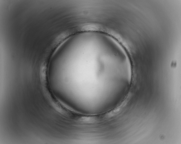 X0000102540057200808221938