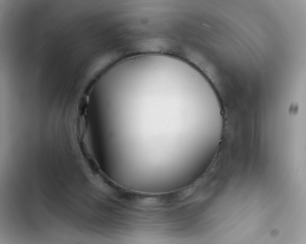 X0000102540058200808221938