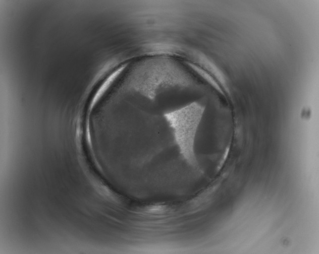 X0000102540059200808221938