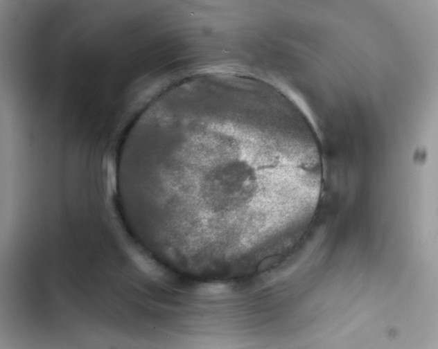 X0000102540061200808221938