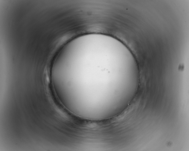 X0000102540062200808221938